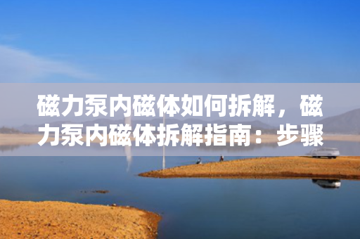 磁力泵内磁体如何拆解，磁力泵内磁体拆解指南：步骤与注意事项