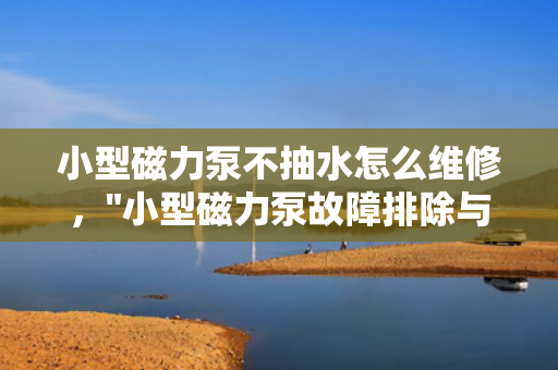 小型磁力泵不抽水怎么维修，