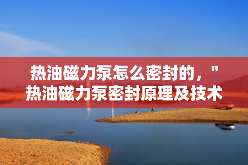 热油磁力泵怎么密封的，