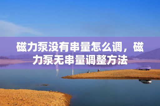 磁力泵没有串量怎么调，磁力泵无串量调整方法