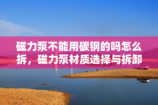 磁力泵不能用碳钢的吗怎么拆，磁力泵材质选择与拆卸指南：碳钢适用性及操作要点