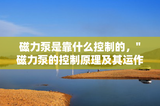 磁力泵是靠什么控制的，