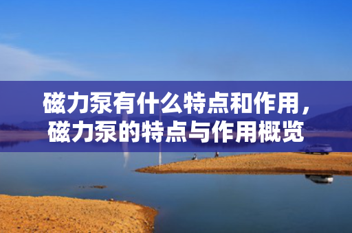 磁力泵有什么特点和作用，磁力泵的特点与作用概览