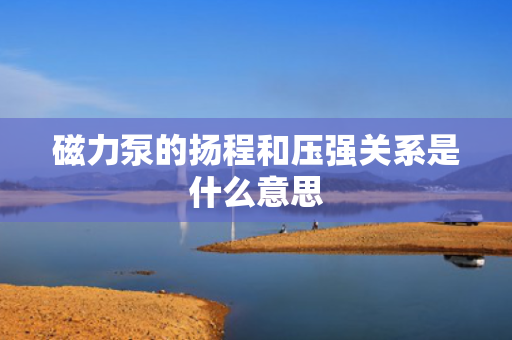 磁力泵的扬程和压强关系是什么意思