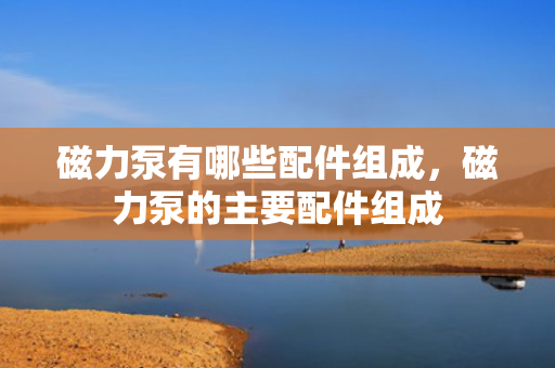 磁力泵有哪些配件组成，磁力泵的主要配件组成