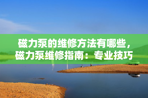 磁力泵的维修方法有哪些，磁力泵维修指南：专业技巧与步骤解析