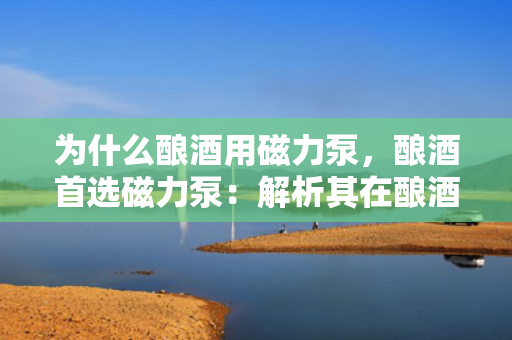 为什么酿酒用磁力泵，酿酒首选磁力泵：解析其在酿酒工艺中的独特优势