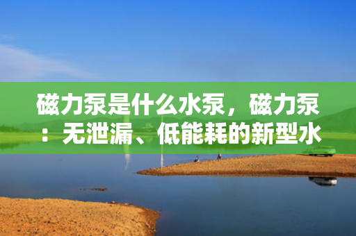 磁力泵是什么水泵，磁力泵：无泄漏、低能耗的新型水泵技术解析