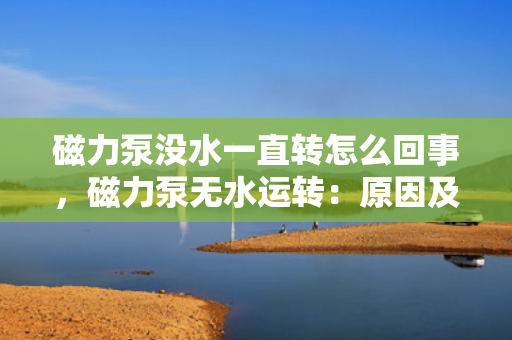 磁力泵没水一直转怎么回事，磁力泵无水运转：原因及解决方案