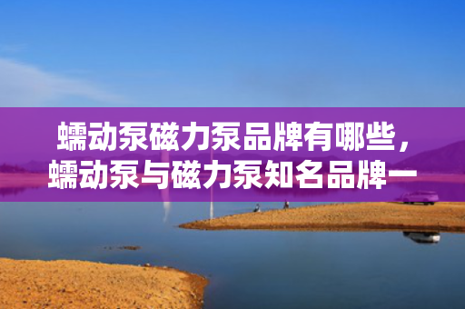 蠕动泵磁力泵品牌有哪些，蠕动泵与磁力泵知名品牌一览