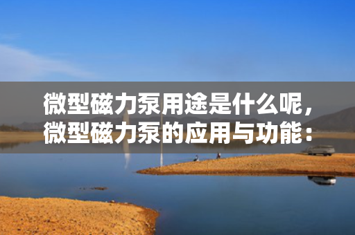 微型磁力泵用途是什么呢，微型磁力泵的应用与功能：解析其多样化用途
