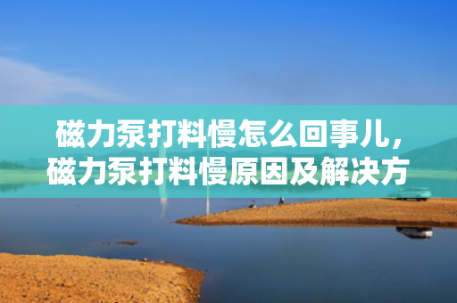 磁力泵打料慢怎么回事儿，磁力泵打料慢原因及解决方案