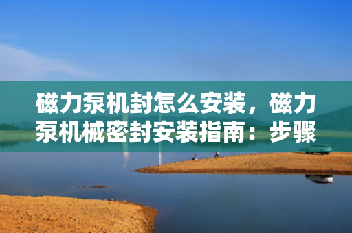 磁力泵机封怎么安装，磁力泵机械密封安装指南：步骤详解