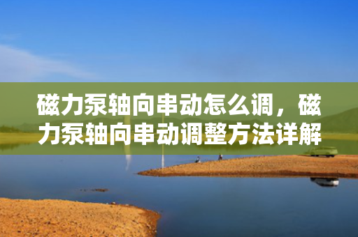 磁力泵轴向串动怎么调，磁力泵轴向串动调整方法详解