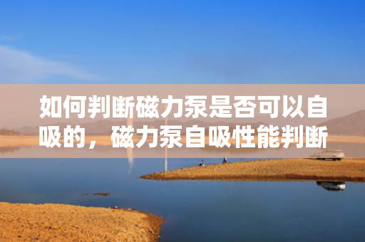 如何判断磁力泵是否可以自吸的，磁力泵自吸性能判断方法