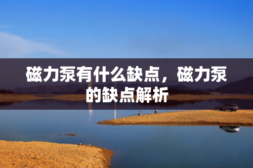磁力泵有什么缺点，磁力泵的缺点解析
