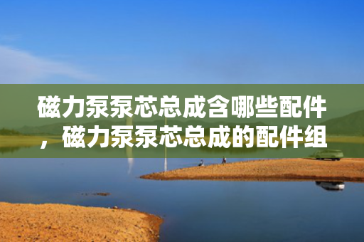 磁力泵泵芯总成含哪些配件，磁力泵泵芯总成的配件组成