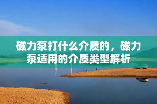 磁力泵打什么介质的，磁力泵适用的介质类型解析
