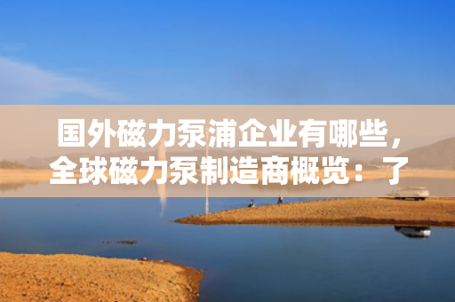 国外磁力泵浦企业有哪些，全球磁力泵制造商概览：了解行业领导者与创新企业