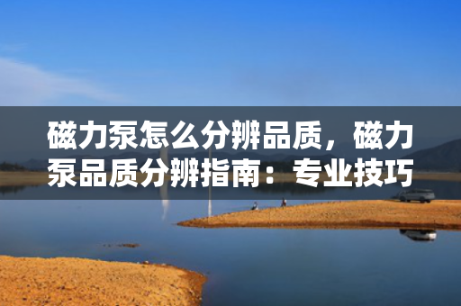 磁力泵怎么分辨品质，磁力泵品质分辨指南：专业技巧助你选购高品质磁力泵