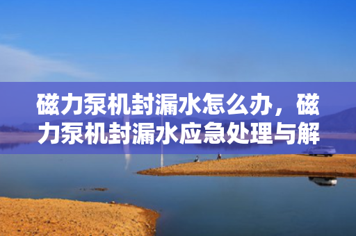 磁力泵机封漏水怎么办，磁力泵机封漏水应急处理与解决方案