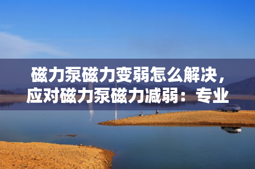 磁力泵磁力变弱怎么解决，应对磁力泵磁力减弱：专业解决方案与技巧