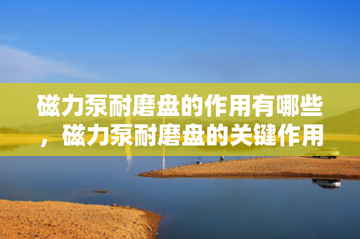 磁力泵耐磨盘的作用有哪些，磁力泵耐磨盘的关键作用：保障泵效能与延长使用寿命