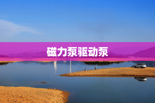磁力泵驱动泵