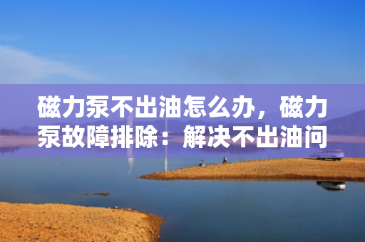 磁力泵不出油怎么办，磁力泵故障排除：解决不出油问题的实用指南