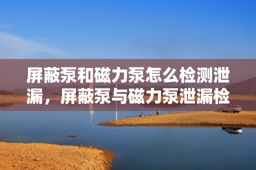 屏蔽泵和磁力泵怎么检测泄漏，屏蔽泵与磁力泵泄漏检测方法详解