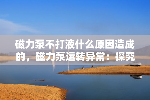 磁力泵不打液什么原因造成的，磁力泵运转异常：探究不打液的原因及解决方案