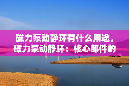 磁力泵动静环有什么用途，磁力泵动静环：核心部件的用途与功能解析
