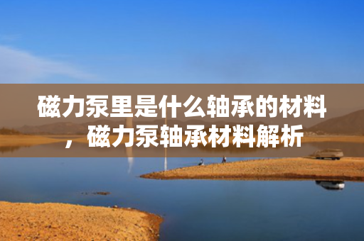 磁力泵里是什么轴承的材料，磁力泵轴承材料解析
