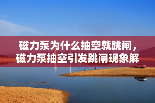 磁力泵为什么抽空就跳闸，磁力泵抽空引发跳闸现象解析