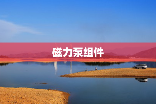 磁力泵组件