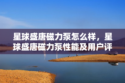星球盛唐磁力泵怎么样，星球盛唐磁力泵性能及用户评价概览