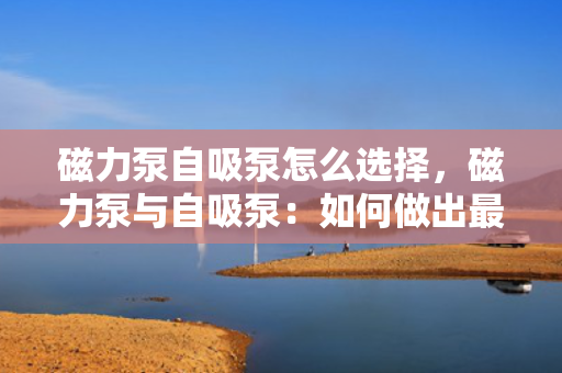 磁力泵自吸泵怎么选择，磁力泵与自吸泵：如何做出最佳选择？