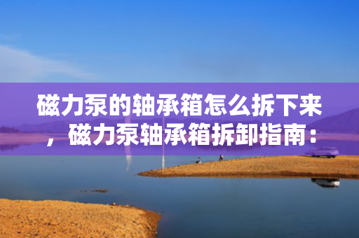 磁力泵的轴承箱怎么拆下来，磁力泵轴承箱拆卸指南：简易步骤与操作要点