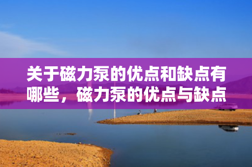 关于磁力泵的优点和缺点有哪些，磁力泵的优点与缺点：全面解析及应用考量
