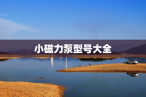 小磁力泵型号大全