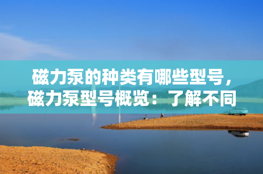 磁力泵的种类有哪些型号，磁力泵型号概览：了解不同类型的磁力驱动泵