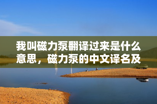 我叫磁力泵翻译过来是什么意思，磁力泵的中文译名及其含义解析
