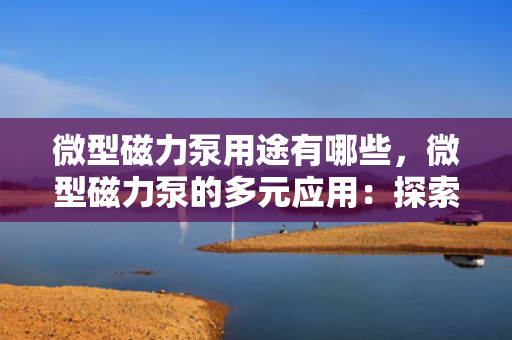 微型磁力泵用途有哪些，微型磁力泵的多元应用：探索其广泛用途