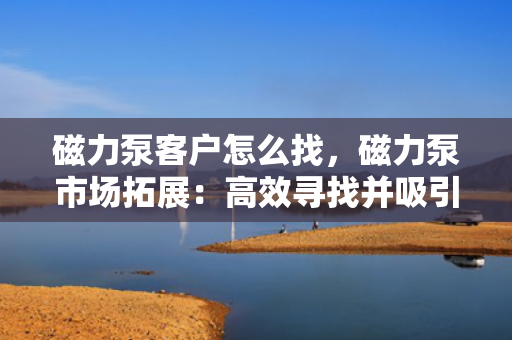 磁力泵客户怎么找，磁力泵市场拓展：高效寻找并吸引潜在客户的策略