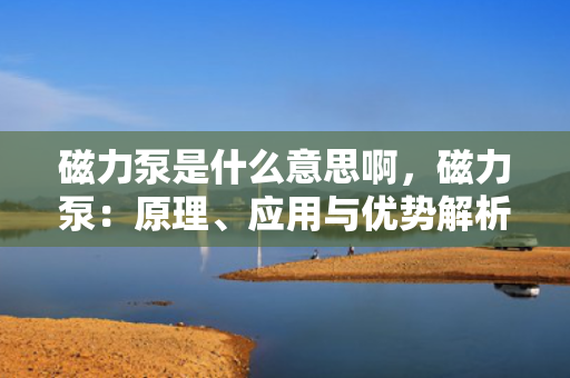 磁力泵是什么意思啊，磁力泵：原理、应用与优势解析