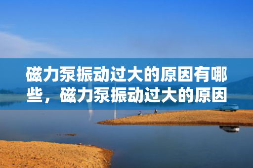 磁力泵振动过大的原因有哪些，磁力泵振动过大的原因解析