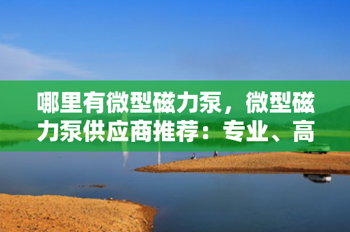 哪里有微型磁力泵，微型磁力泵供应商推荐：专业、高效、可靠的微型磁力泵解决方案