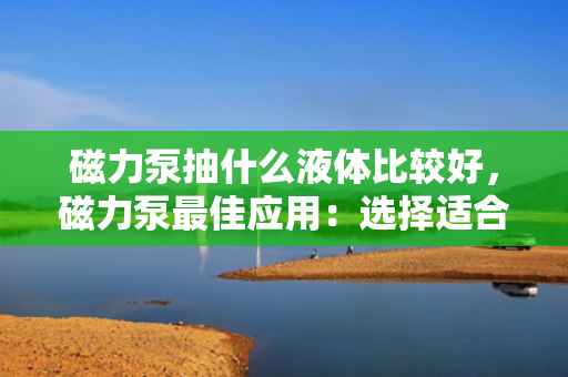 磁力泵抽什么液体比较好，磁力泵最佳应用：选择适合的液体以确保高效抽取