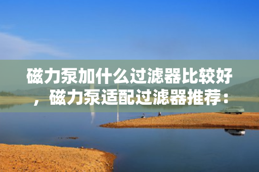 磁力泵加什么过滤器比较好，磁力泵适配过滤器推荐：如何选择最佳过滤方案？