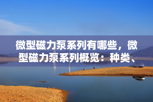微型磁力泵系列有哪些，微型磁力泵系列概览：种类、特性与应用